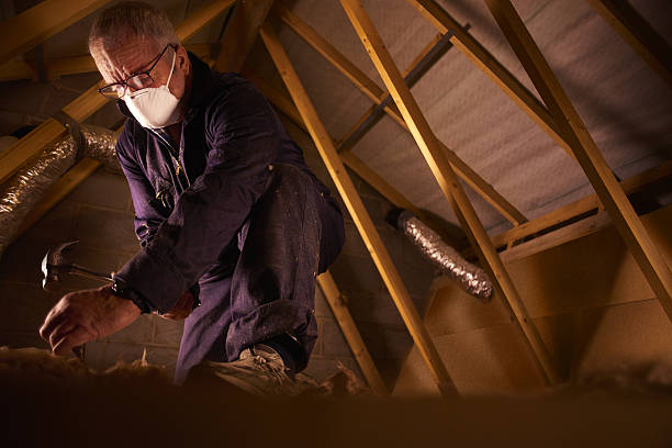 Best DIY Insulation Kits and Guidance in Athens, GA